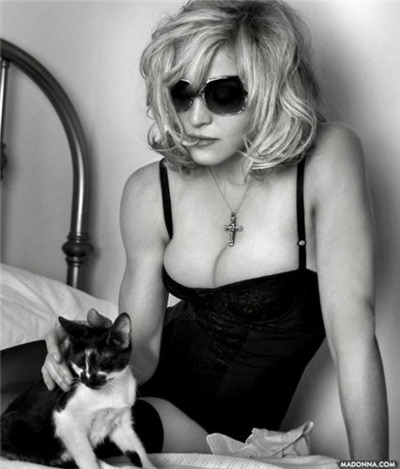 Madonna et un chaton