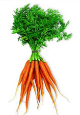 Peut-on être fan de carottes ?