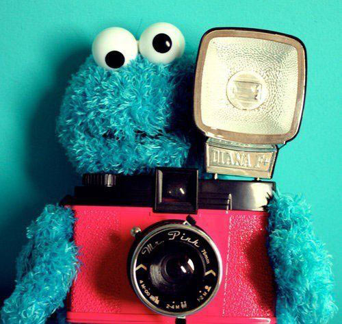 Cookie monster prend une photo